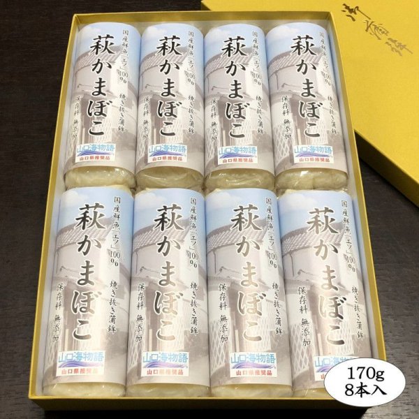 画像1: 萩かまぼこ（白）×8本【化粧箱入】（国産鮮魚「エソ」100％）保存料不使用・リン酸塩不使用 (1)