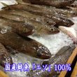 画像2: 萩かまぼこ（白）　※12月限定販売 (2)