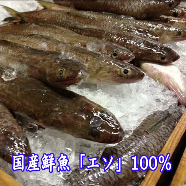 画像4: 卵・小麦不使用!萩かまぼこ(白)170g【令和6年度水産庁長官賞受賞商品】  5本【化粧箱入】 (4)