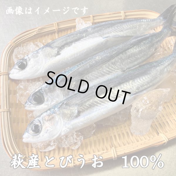 画像3: 旬の飛魚の美味しさをそのまま閉じ込めた「飛魚蒲鉾」（萩産「飛魚」100%）85g ※5月下旬頃〜7月中旬頃までの季節限定 (3)