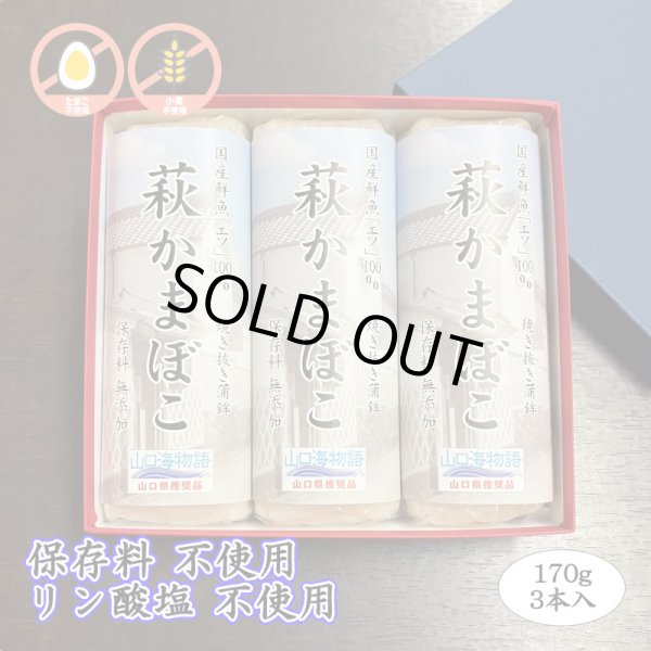 画像1: 卵・小麦不使用！萩かまぼこ（白）170g【令和6年度水産庁長官賞受賞商品】　　3本【化粧箱入】 (1)
