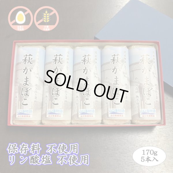 画像1: 卵・小麦不使用！萩かまぼこ（白）170g【令和6年度水産庁長官賞受賞商品】　　5本【化粧箱入】 (1)