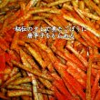 画像4: ピリ辛ごぼうスティック50g【1月〜11月の販売】 (4)