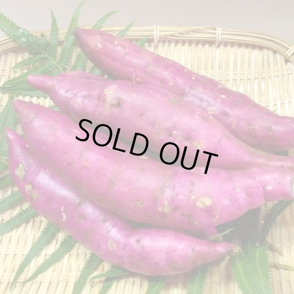 画像3: 【季節限定商品】お芋巻 (3)