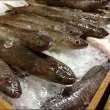 画像3: 萩 80ｇ×5本（国産鮮魚100%） 『保存料・調味料（アミノ酸等）・リン酸塩』不使用 (3)