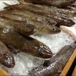 画像3: 卵・小麦・澱粉不使用！蒲鉾「萩」 180ｇ 　※12月限定販売 (3)