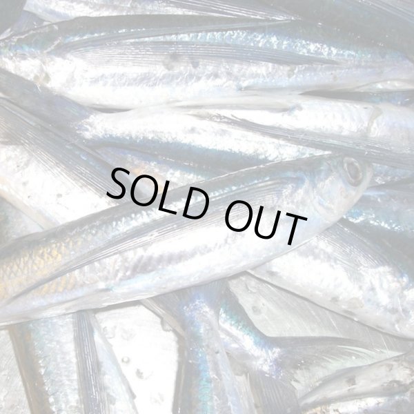 画像3: 旬の飛魚の美味しさをそのまま閉じ込めた「飛魚蒲鉾」(萩産「飛魚」100%)85gx8本【化粧箱入】※5月下旬頃〜7月中旬頃までの季節限定 (3)