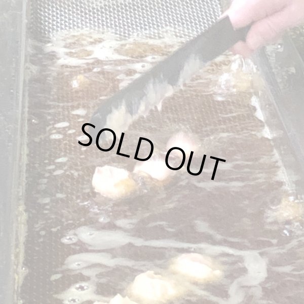 画像6: 卵不使用！いか団子（4個入）真空包装【令和7年度水産庁長官賞受賞商品】 (6)