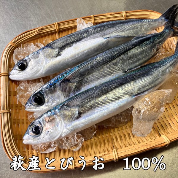 画像3: 旬の飛魚の美味しさをそのまま閉じ込めた「飛魚蒲鉾」（萩産「飛魚」100%）85gｘ8本【化粧箱入】※販売開始〜7月中旬頃までの季節限定 (3)